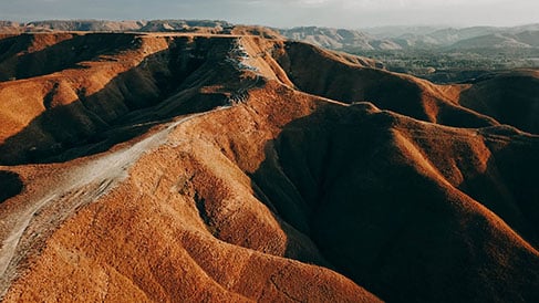 Wedding and Honeymoon